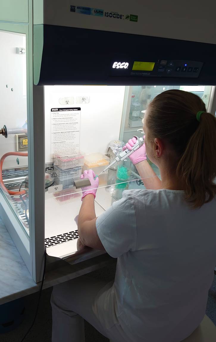 Nové molekulárně-biologické technologické postupy